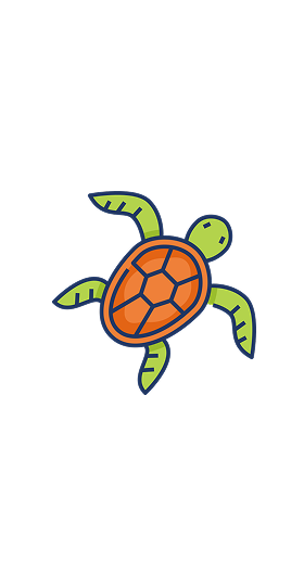 tortue